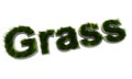 3D grass text