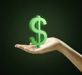 3d Green Dollar Sign on a hand