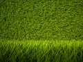 3d green grass texture, background Royalty Free Stock Photo