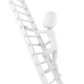 3d man climbing on a ladder