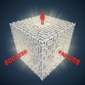 3d maze - success failure concept