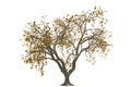 3d oak tree render with gold leaf