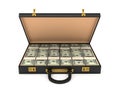 3d open case with money Royalty Free Stock Photo