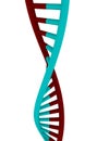 3d Render of a DNA Strand