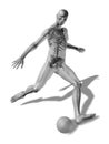 3D rendering of a man about to kick a ball