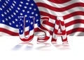 3D Shiny USA text