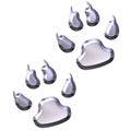 3D Silver Animal Foot Prints