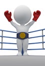 3d small people - boxer the champion Royalty Free Stock Photo