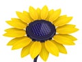3d solar cell sunflower Royalty Free Stock Photo