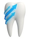 3d white tooth icon - Blue arrows