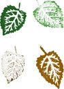 4 Grunge Leaves