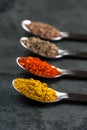 4 Spices on spoons Royalty Free Stock Photo