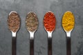 4 Spices on spoons Royalty Free Stock Photo