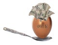 401k retirement nest egg Royalty Free Stock Photo