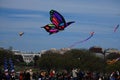 42nd Annual Smithsonian Kite Festival 2008 II