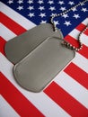 4th July Dog Tags Royalty Free Stock Photo
