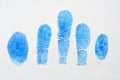 5 Blue fingerprint