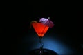 About a 5 second time laps aka Bulb exposure of orange liquid in a martini glass lit up with a Royalty Free Stock Photo