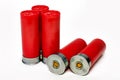 5 Shotgun Shells