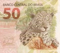 50 reais banknote from brazil Royalty Free Stock Photo