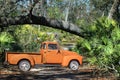 54 Chevy pickup off road Royalty Free Stock Photo