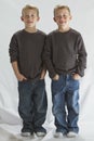 6 years old identical twins Royalty Free Stock Photo