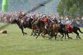 600th Anniversary of Battle of Grunwald Royalty Free Stock Photo