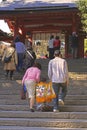 7,5,3 (Shichi-go-san)-going up to the temple