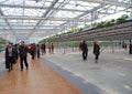 7th international Strawberry Symposium