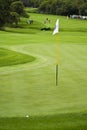 8th Green Royalty Free Stock Photo