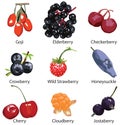 9 different berries isolated Royalty Free Stock Photo