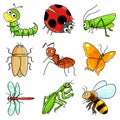 9 Insect icon