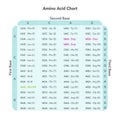 Amino Acid Codon Table genome sciences vector graphic Royalty Free Stock Photo