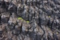 aa lava with rough, jagged surface