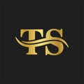 TS Letter logo wave Monogram luxury design