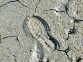 Footprint on the wet sand and clay of the beach