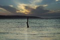 Aa stake in the ocean at sunset Royalty Free Stock Photo