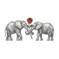 sticker of two elephants facing each other with a red rose flower Royalty Free Stock Photo