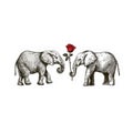 sticker of two elephants facing each other with a red rose flower Royalty Free Stock Photo