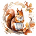 cute squirrel sitting on branch among brown foliage in autumn