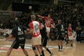 AaB Handball - Aarhus GF (29-23)