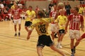 AaB Handball - Ikast FS Royalty Free Stock Photo