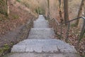 eine treppe auf dem Lousberg