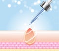 Three main layer of the human skin. skin aging stages diagrams, ollagen and elastin progressive decrease close up, skincare infogr