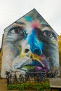 Aalborg, Denmark: Beautiful graffiti drawings painted on the wall of the house