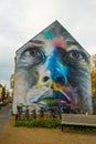 Aalborg, Denmark: Beautiful graffiti drawings painted on the wall of the house