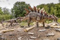 Dinosaur stegosaurus in natural surroundings and in lifelike size