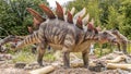 Dinosaur stegosaurus in natural surroundings and in lifelike size