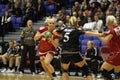 Aalborg DH - FCM Handball