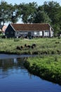 Farm house over canal in Aalsmeer, city of Netherlands Royalty Free Stock Photo